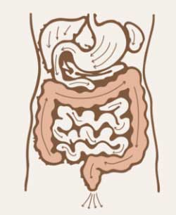 Vasthi (medicated enema)