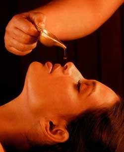 Nasya Nasal Instillation